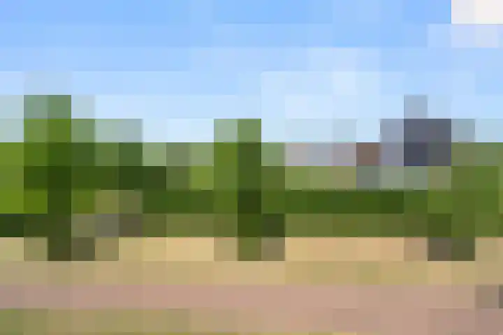 Hazenhoeve 99 Bennekom thumbnail 37