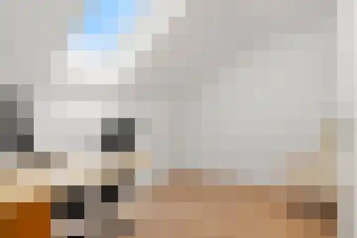 Hazenhoeve 99 Bennekom thumbnail 48