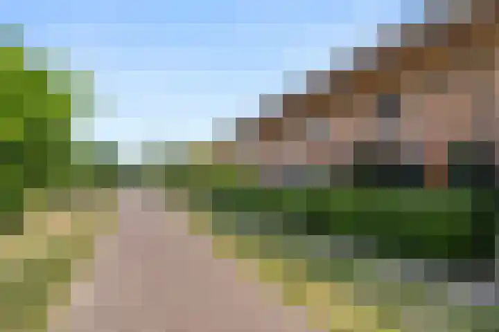 Hazenhoeve 99 Bennekom thumbnail 6