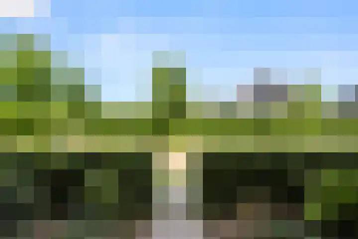 Hazenhoeve 99 Bennekom thumbnail 7