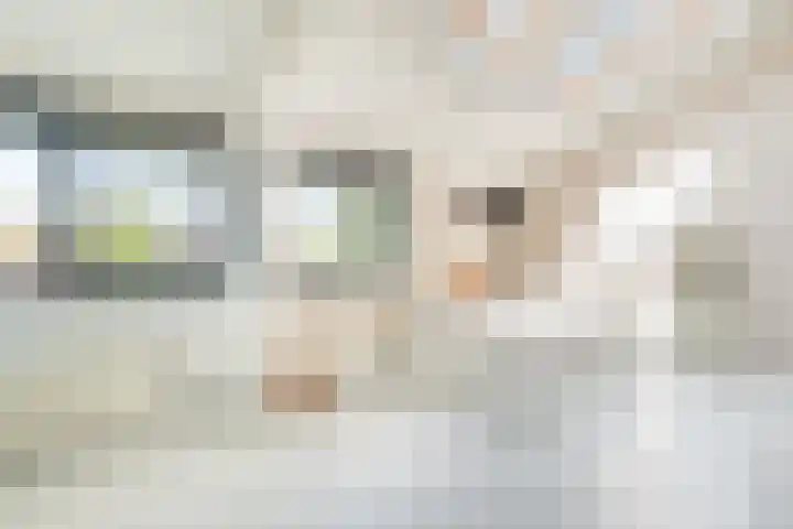 Hazenhof 40 Vleuten thumbnail 19