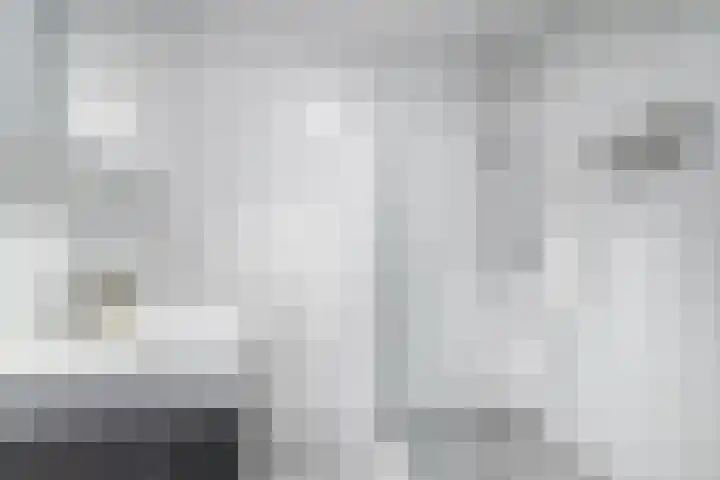 Hazenhof 40 Vleuten thumbnail 21