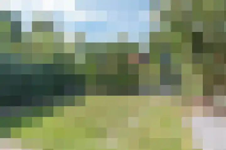 Hazenhof 40 Vleuten thumbnail 30