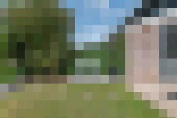 Hazenhof 40 Vleuten thumbnail 31