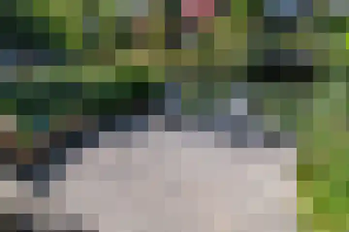 Hazenhof 40 Vleuten thumbnail 32