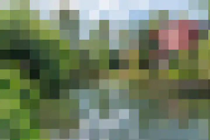 Hazenhof 40 Vleuten thumbnail 34
