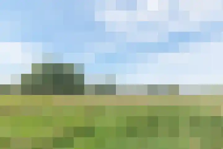 Hazenhof 40 Vleuten thumbnail 36