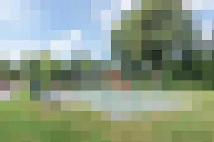 Hazenhof 40 Vleuten thumbnail 38