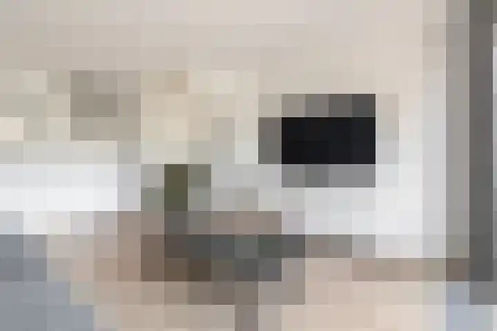 Hazenhof 40 Vleuten thumbnail 7