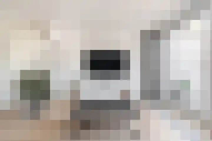 Hazenhof 40 Vleuten thumbnail 8