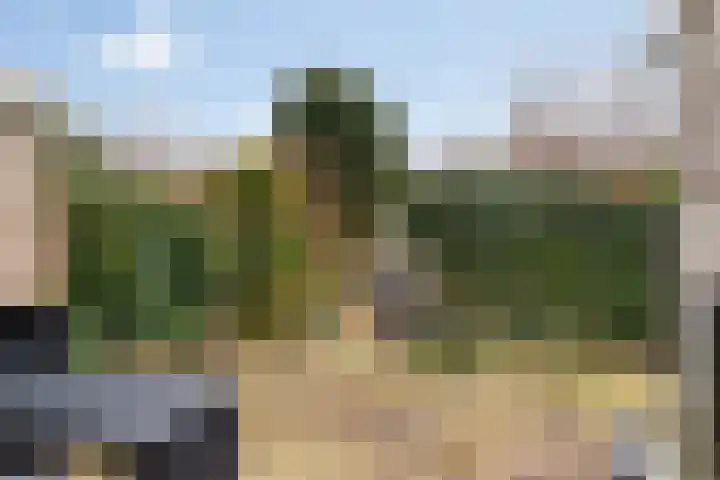 Hazenhof 52 Vleuten thumbnail 26