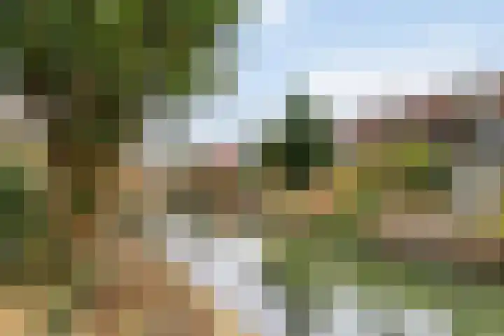 Hazenhof 52 Vleuten thumbnail 27