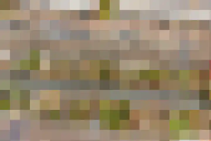 Hazenhof 52 Vleuten thumbnail 30