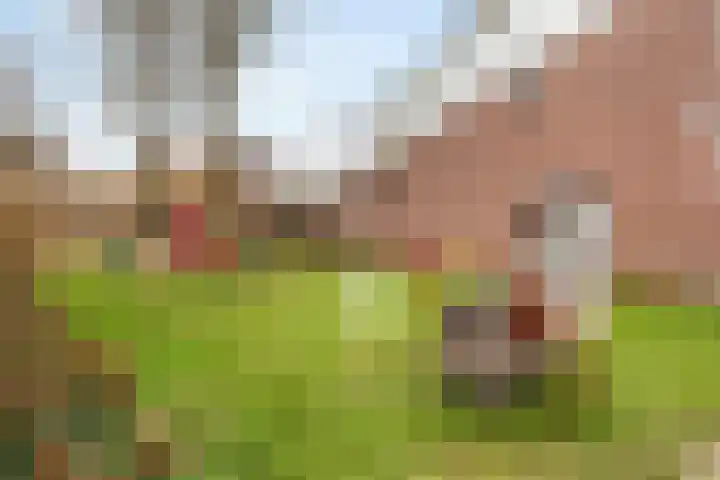Hazenhof 52 Vleuten thumbnail 31