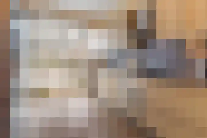 Hazenhof 52 Vleuten thumbnail 8
