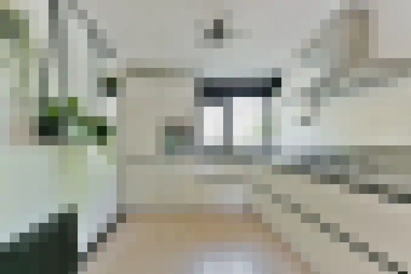 Hazenkamp 18 Leusden thumbnail 12