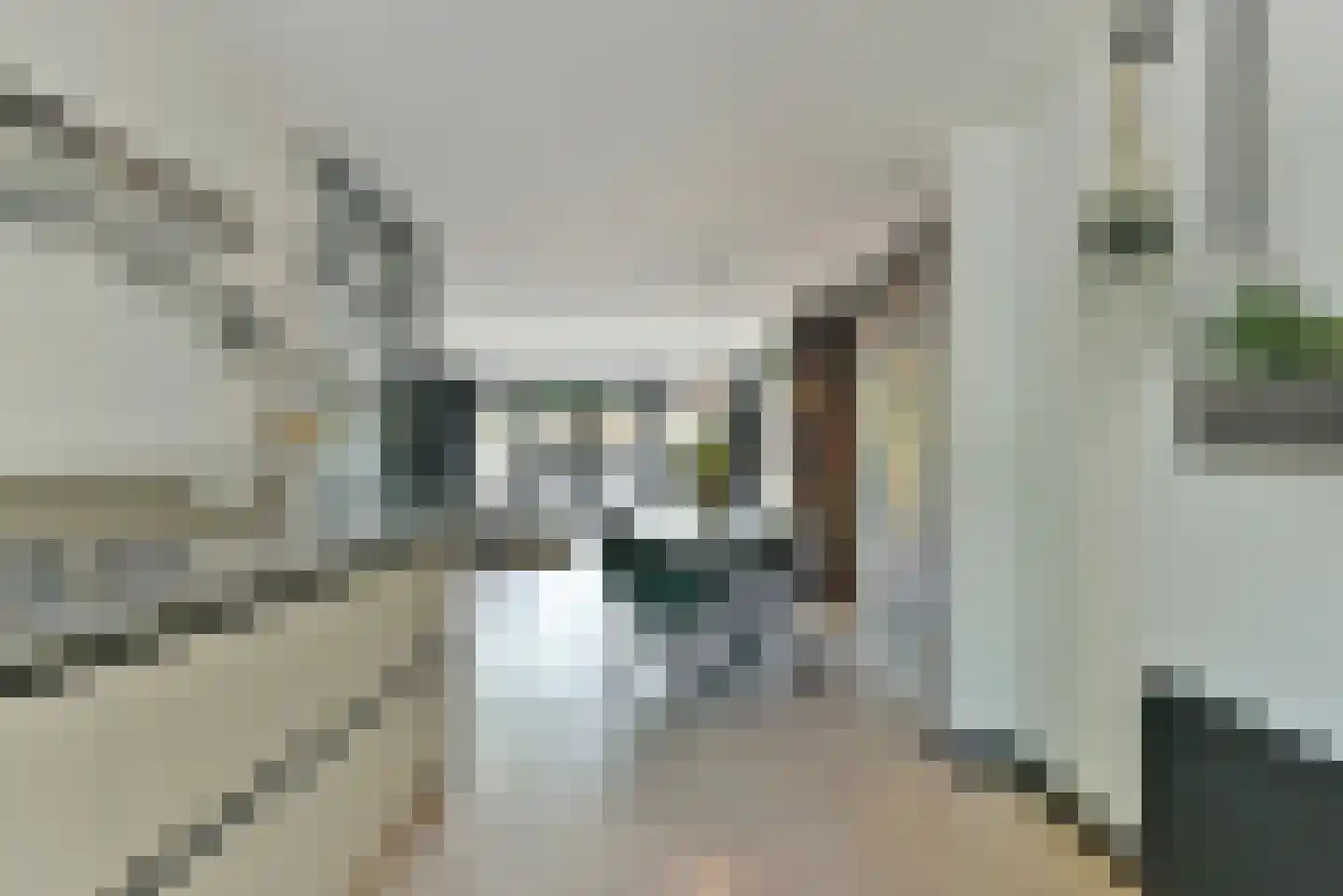 Hazenkamp 18 Leusden thumbnail 14