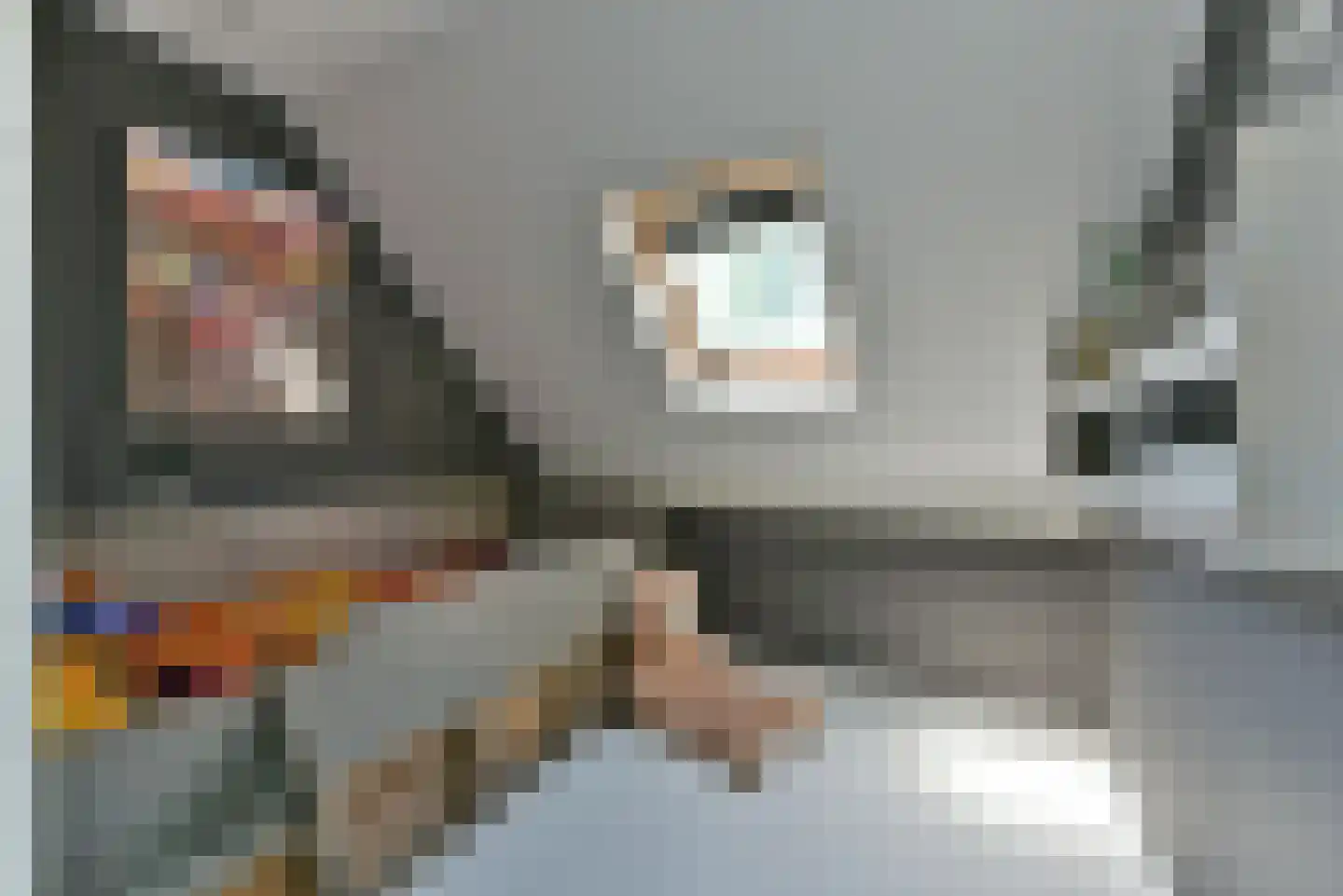 Hazenkamp 18 Leusden thumbnail 37