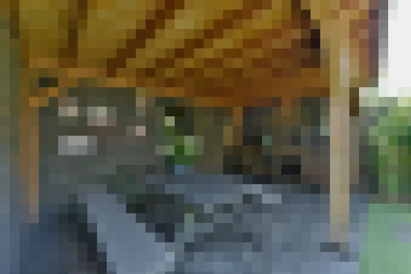 Hazenkamp 18 Leusden thumbnail 4