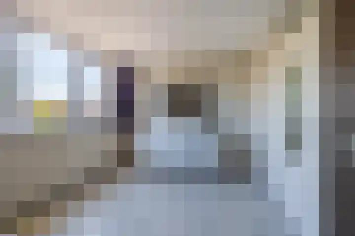 Hazenkamp 28 Reuver thumbnail 12