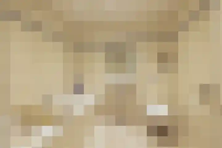 Hazenkamp 28 Reuver thumbnail 15