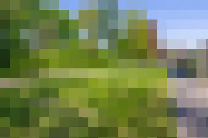 Hazenkamp 28 Reuver thumbnail 25