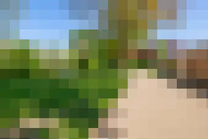 Hazenkamp 28 Reuver thumbnail 26