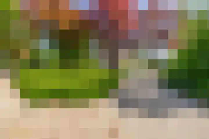 Hazenkamp 28 Reuver thumbnail 27