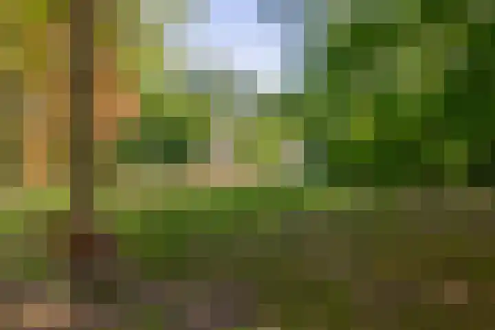 Hazenkamp 28 Reuver thumbnail 28
