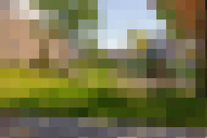 Hazenkamp 28 Reuver thumbnail 29