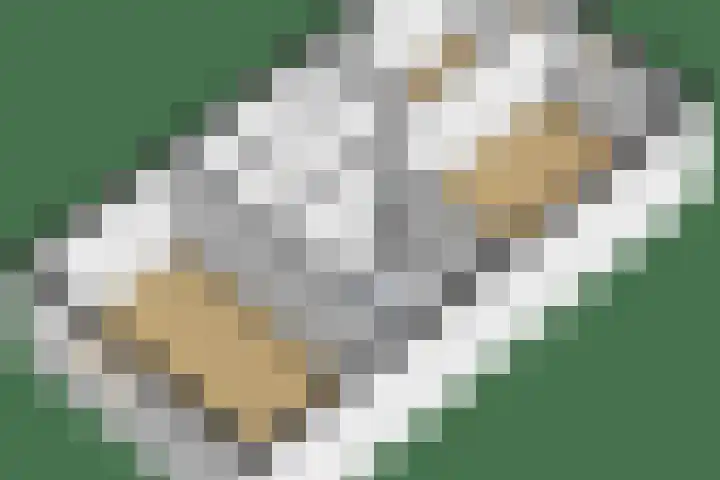 Hazenkamp 28 Reuver thumbnail 35