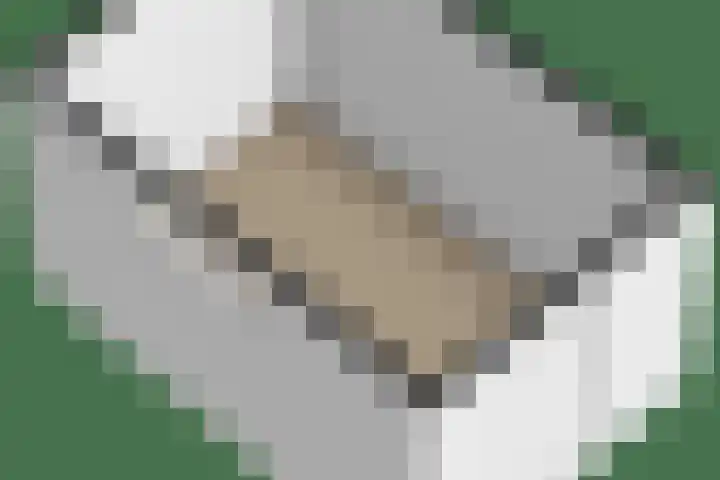 Hazenkamp 28 Reuver thumbnail 37