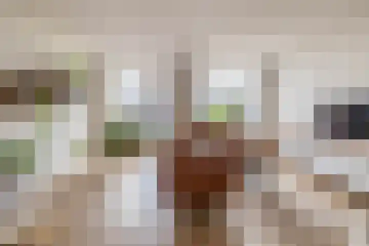 Hazenkamp 28 Reuver thumbnail 4