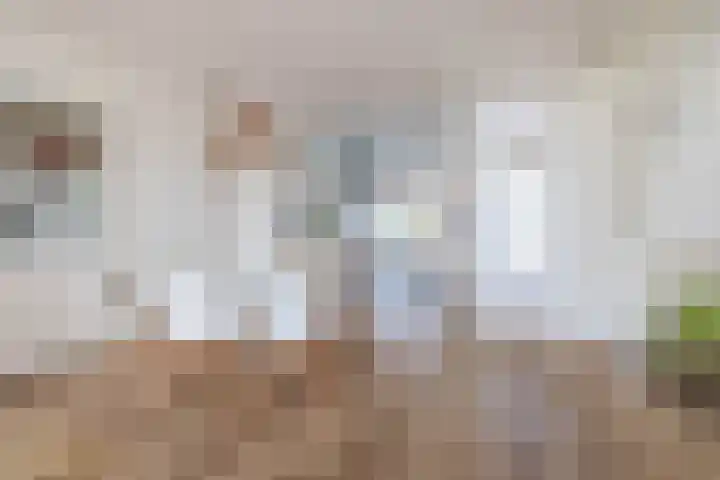 Hazenkamp 28 Reuver thumbnail 7