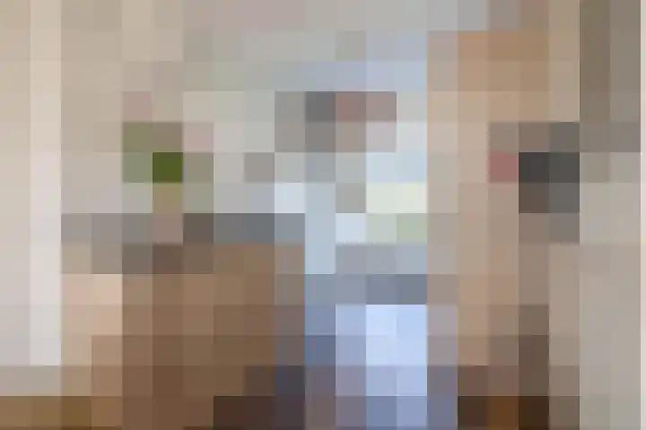 Hazenkamp 28 Reuver thumbnail 8