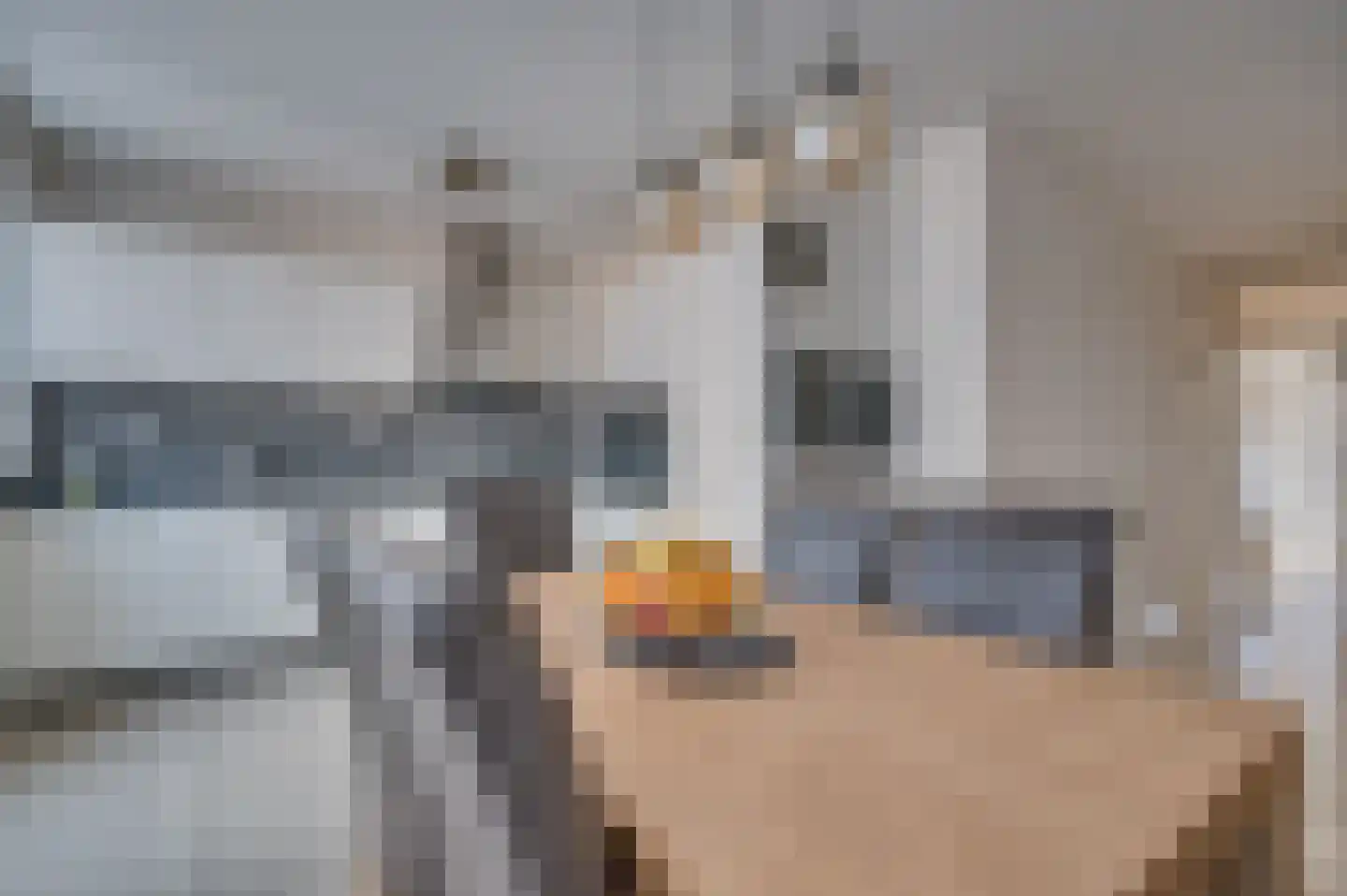 Hazenkamp 75 Reuver thumbnail 16