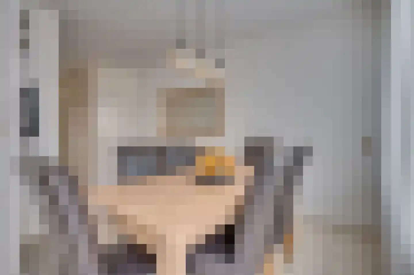 Hazenkamp 75 Reuver thumbnail 19