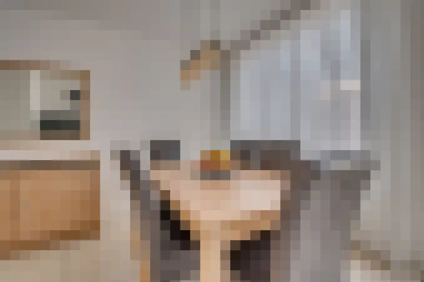 Hazenkamp 75 Reuver thumbnail 20