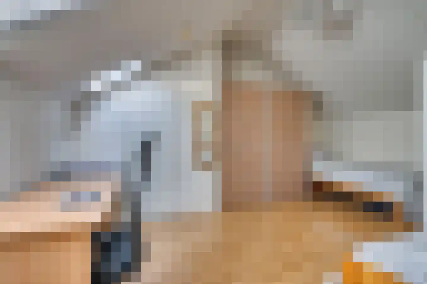 Hazenkamp 75 Reuver thumbnail 39