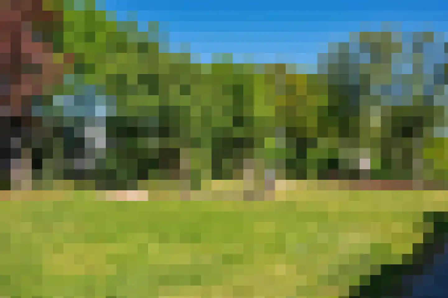 Hazenkamp 75 Reuver thumbnail 45