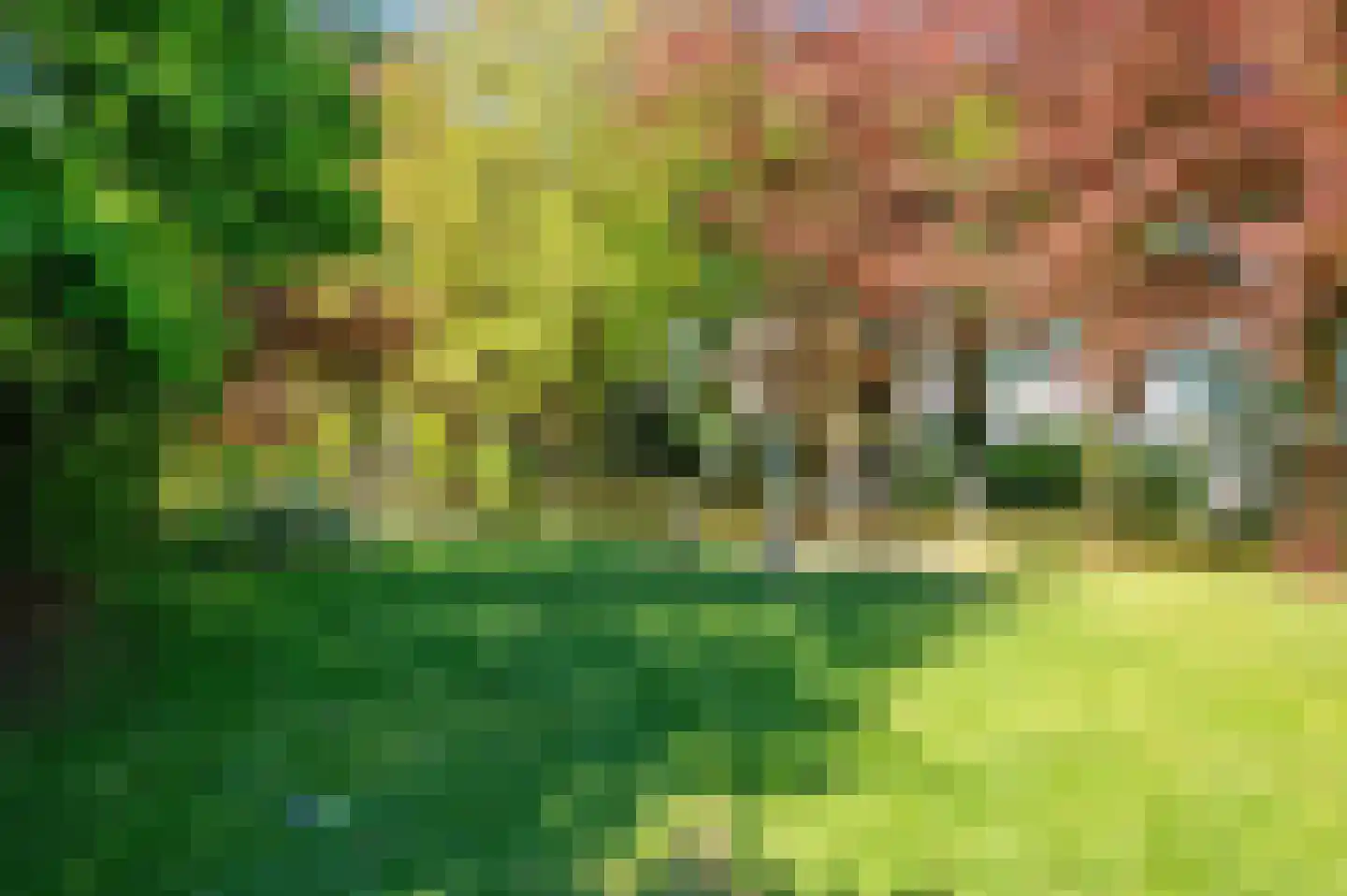 Hazenkamp 75 Reuver thumbnail 46