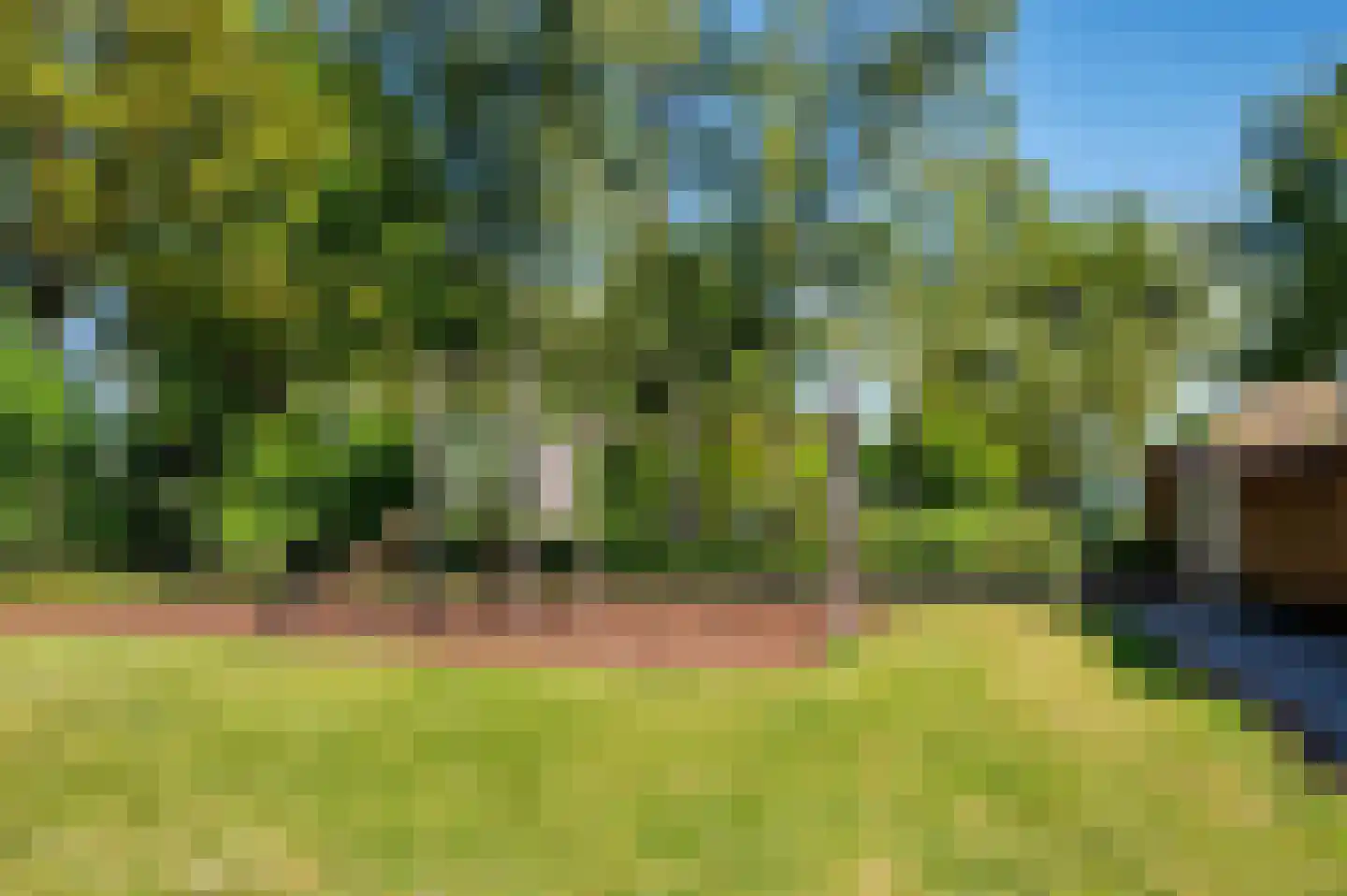 Hazenkamp 75 Reuver thumbnail 48