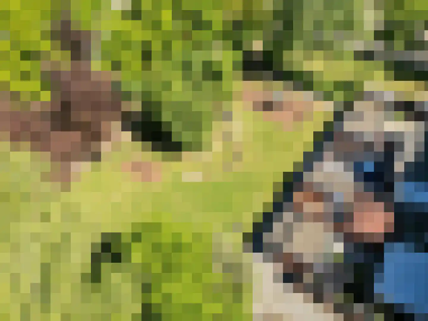 Hazenkamp 75 Reuver thumbnail 53