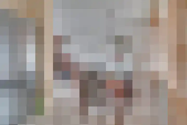 Hazenkamp 90 Reuver thumbnail 17