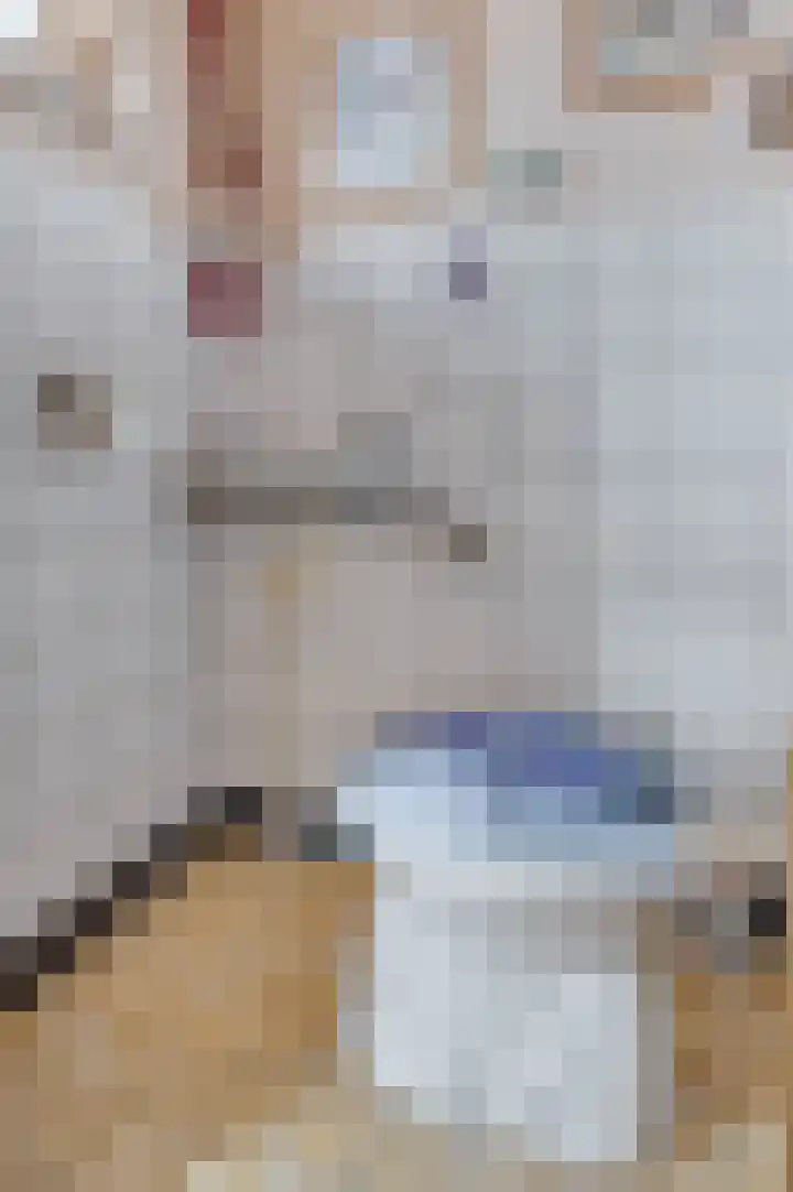 Hazenkamp 90 Reuver thumbnail 20