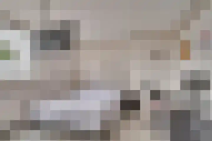 Hazenkamp 90 Reuver thumbnail 21