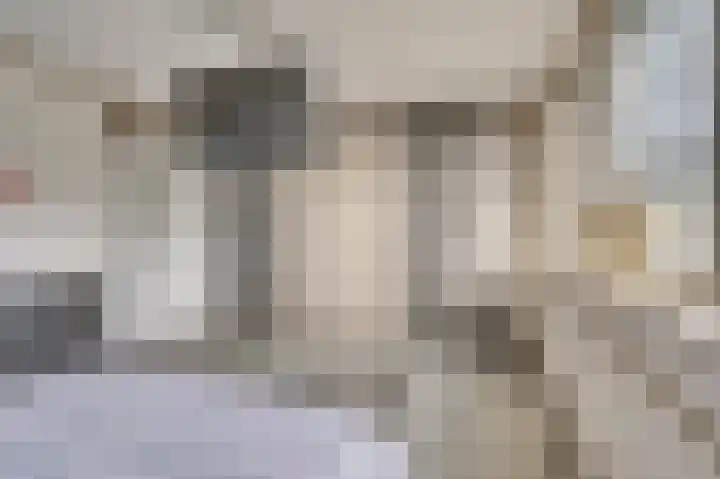 Hazenkamp 90 Reuver thumbnail 23