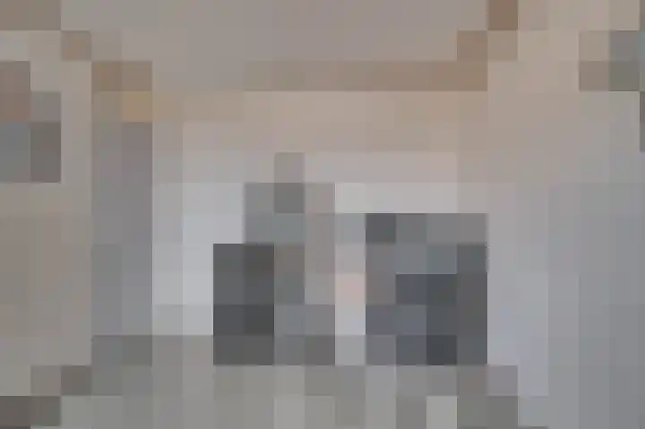 Hazenkamp 90 Reuver thumbnail 27