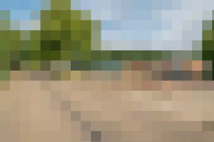 Hazenkamp 90 Reuver thumbnail 35