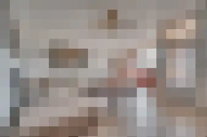 Hazenkamp 90 Reuver thumbnail 7
